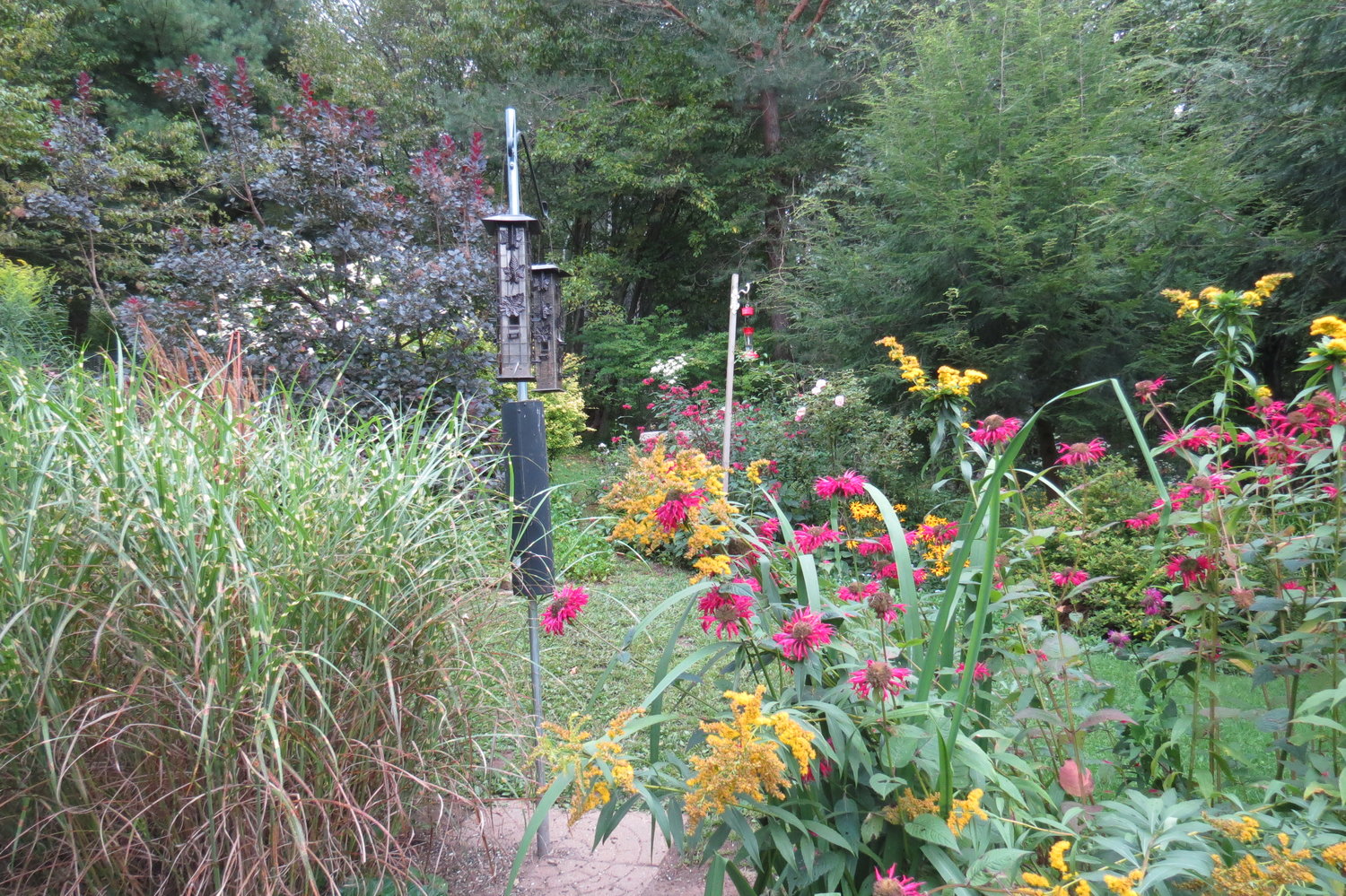 This garden is designed with birds in mind: a feeder surrounded by native plants like beebalm and goldenrod.